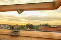 rated Keeres Green roof window companies